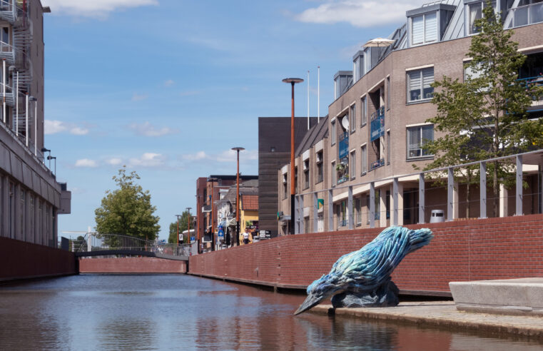 Welke ideeën heeft de provincie Overijssel voor het oplossen van de woningnood?