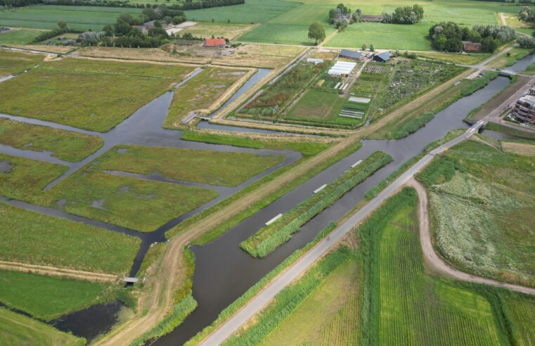 Land in Zicht verhuist naar Tuinpark Laakzijde: ‘We willen blijven groeien’