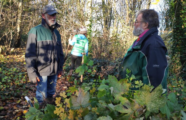 Boven de AOW-leeftijd, maar onder nul: vrijwilligers strijden door in Bultpark