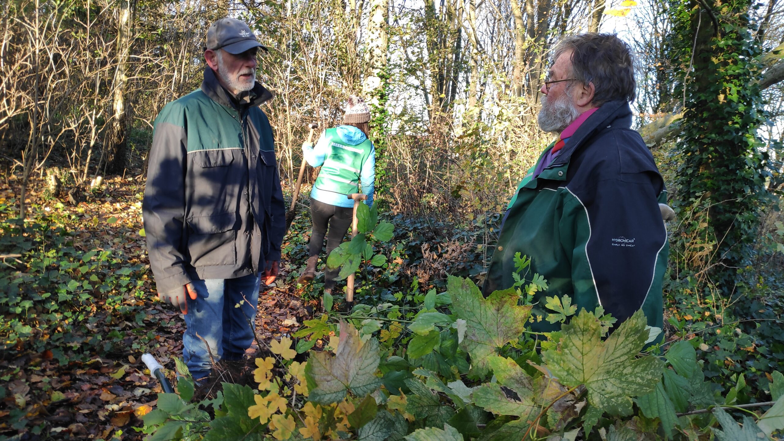 Boven de AOW-leeftijd, maar onder nul: vrijwilligers strijden door in Bultpark