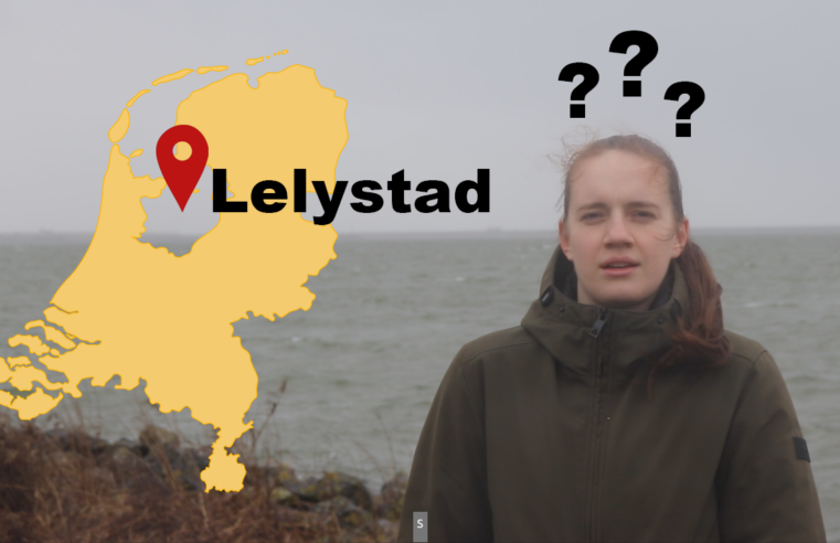 Hoe is Lelystad ontstaan?