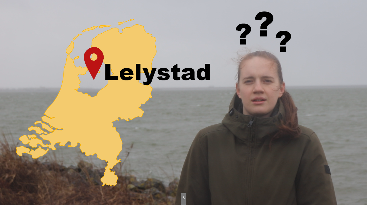 Hoe is Lelystad ontstaan?