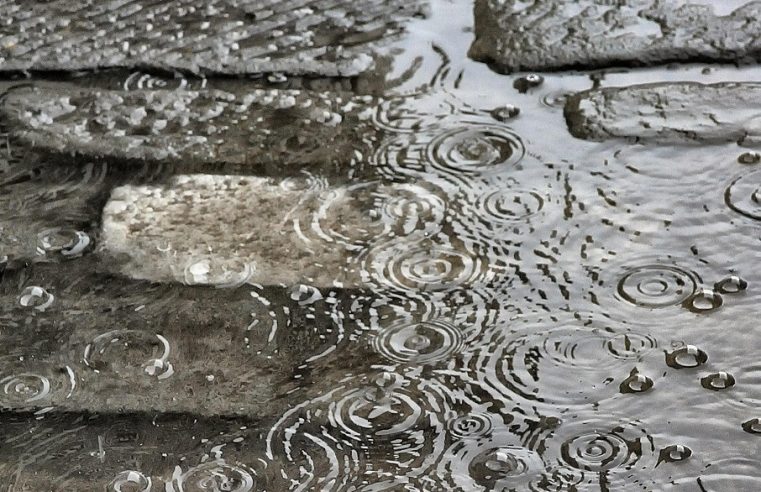 ‘Of het nou sneeuwt, regent of droog is, ze staan er altijd’