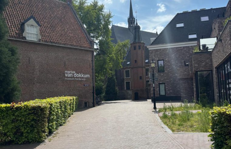 Gemeente Harderwijk werkt aan herinrichting binnenstad: hoe staat het ervoor met de Visie 2031?
