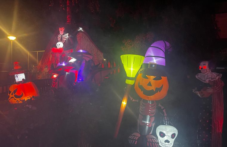 Versierde straten en feest voor kinderen: Halloween groots gevierd in de Vijfhoek