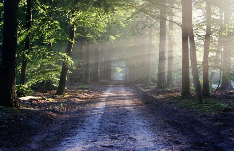 Explosieven uit de Tweede Wereldoorlog: Hoe groot is de kans dat je die in Ommen tegenkomt?