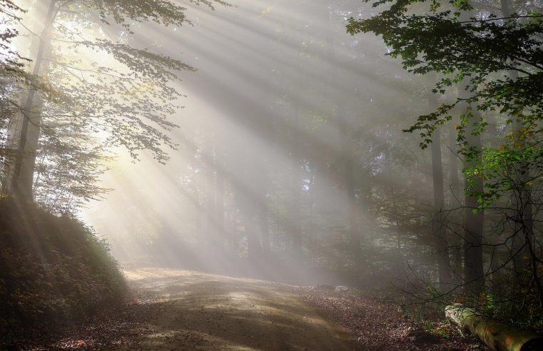 HOE DE GROND IN OMMEN SPREEKT V2