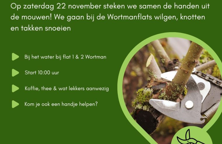 Wilgen knotten in de Flevowijk