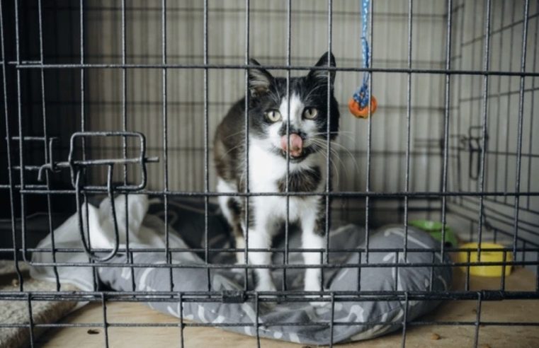 ‘’Onze toekomst is zeker’’ stichting de Ark koopt grond in Harderwijk