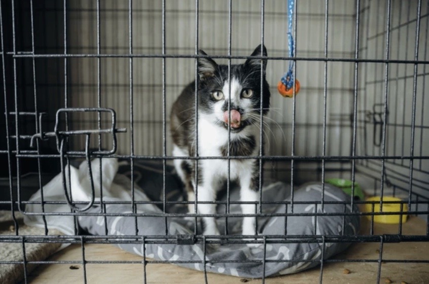 ‘’Onze toekomst is zeker’’ stichting de Ark koopt grond in Harderwijk